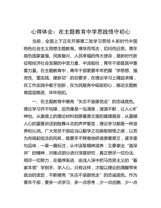 心得体会：在主题教育中学思践悟守初心