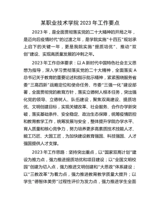 职业技术学院2023年工作要点（学校）