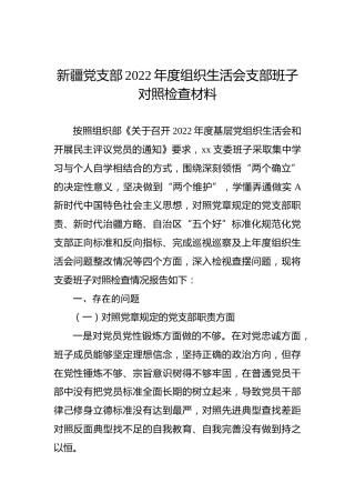 新疆党支部班子2022年度组织生活会对照检查材料
