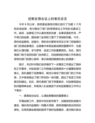 在巡察反馈会议上的表态发言1100字
