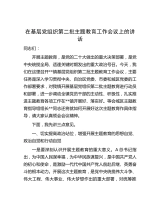 在第二批主题教育工作会议上的讲话5000字