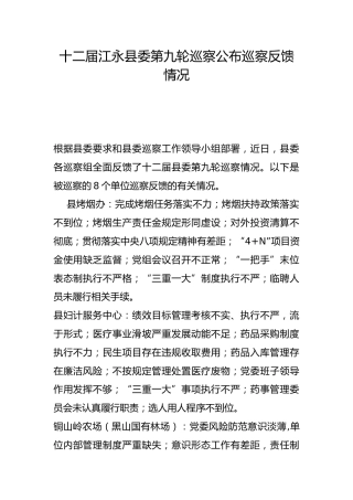 巡察公布巡察反馈情况