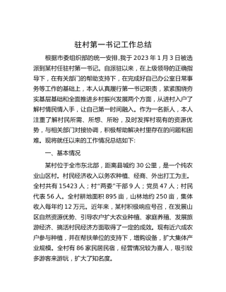 驻村第一书记工作总结2100字