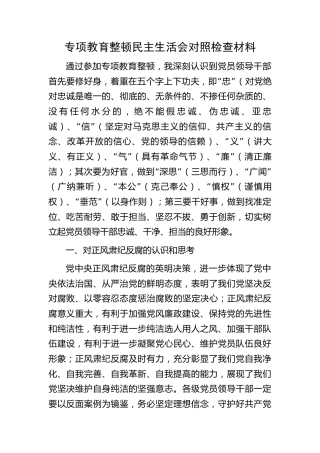 正风肃纪反腐专项教育整顿民主生活会个人对照检查3100字