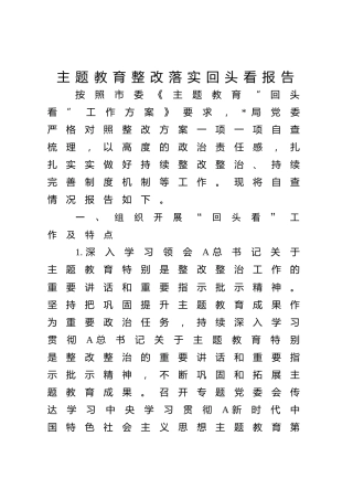 主题教育整改落实回头看工作报告（3700字总结）