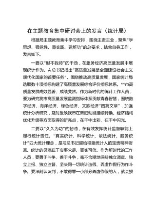 在主题教育集中研讨会上的发言（统计）