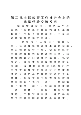 在第二批主题教育工作推进会上的典型经验交流发言（2300字总结）