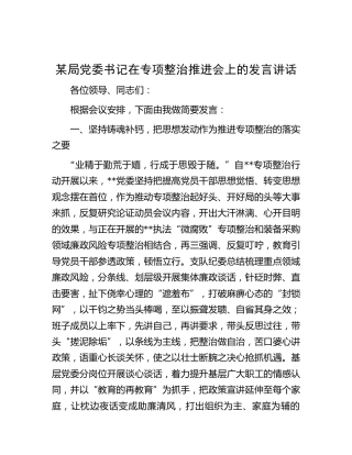 在专项整治推进会上的发言讲话
