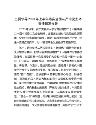 主要领导2023年上半年落实全面从严治党主体责任情况总结报告