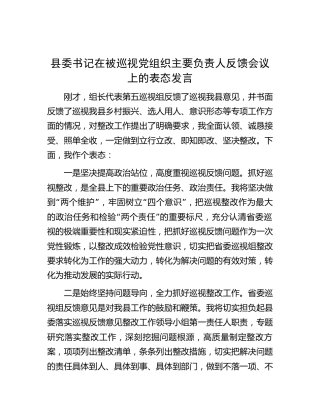 县委书记在被巡视党组织主要负责人反馈会议上的表态发言