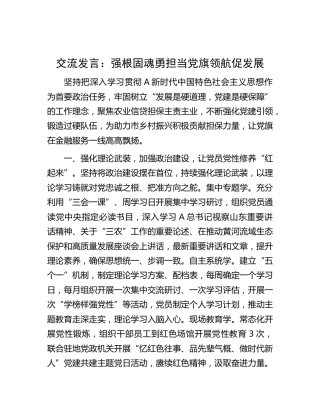 研讨发言：强根固魂勇担当  党旗领航促发展