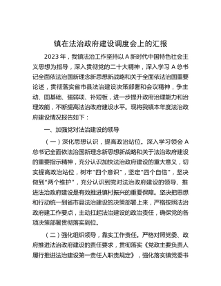 乡镇在法治政府建设调度会上的汇报（总结）