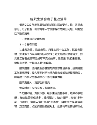 组织生活会班子整改清单2400字