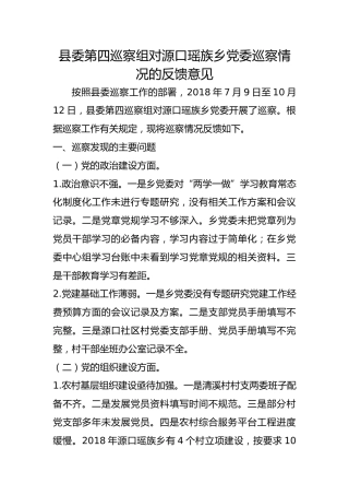 巡察组对源口瑶族乡党委巡察情况的反馈意见
