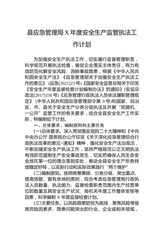 县应急管理局安全生产监管执法工作计划