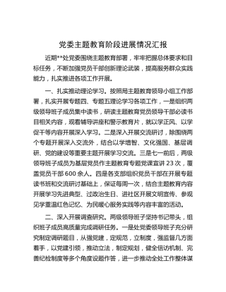 主题教育阶段进展情况总结汇报