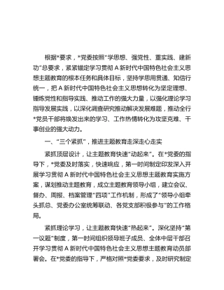 主题教育阶段性工作总结（2）
