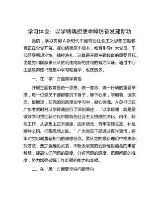 主题教育心得体会：以学铸魂担使命 踔厉奋发建新功