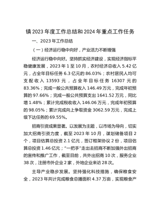 乡镇2023年度工作总结和2024年重点工作计划9300字