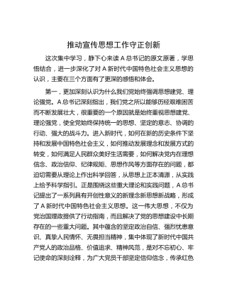 主题教育中心组研讨发言： 推动宣传思想工作守正创新