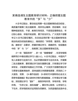 乡镇选调生主题教育研讨发言：正确把握主题教育中的“多”与“少”
