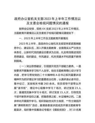 政府办机关党支部2023年上半年工作以及支委会检视问题情况总结报告