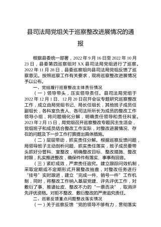 县司法局党组关于巡察整改进展情况的通报(20230330)