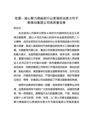 主题教育党课：凝心聚力 勇毅前行 以更强担当更大作不断推动公司高质量发展