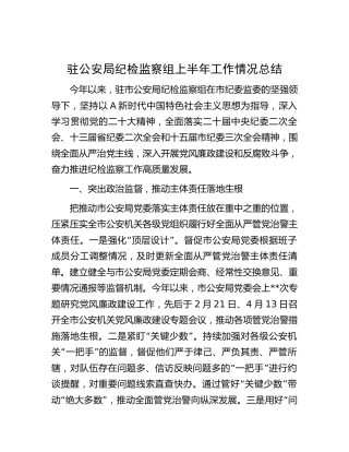 驻公安局纪检监察组上半年工作总结