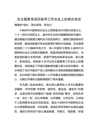 在主题教育巡回指导工作会议上的表态讲话（市3300字）