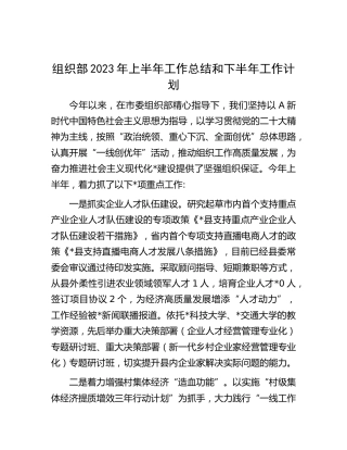 组织部2023年上半年工作总结和下半年工作计划 (2)