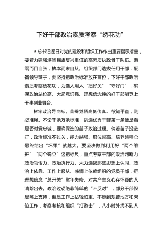 下好干部政治素质考察“绣花功”