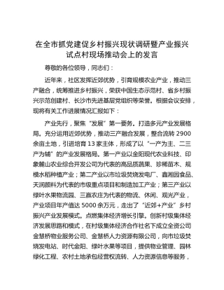 在全市抓党建促乡村振兴现状调研暨产业振兴试点村现场推动会上的发言(1)