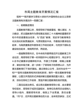 主题教育开展情况总结汇报