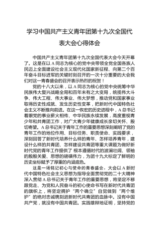 学习中国共产主义青年团第十九次全国代表大会心得体会