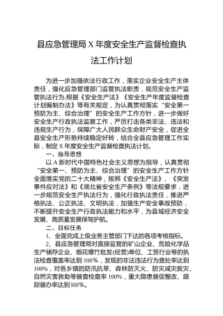 县应急管理局安全生产监督检查执法工作计划