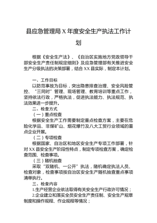 县应急管理局安全生产执法工作计划