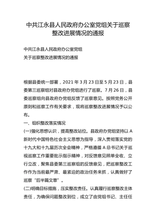 县人民政府办公室党组关于巡察整改进展情况的通报