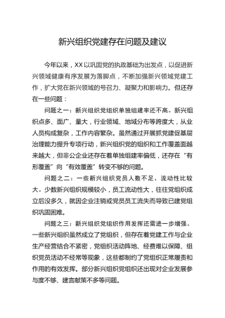新兴组织党建存在问题及建议