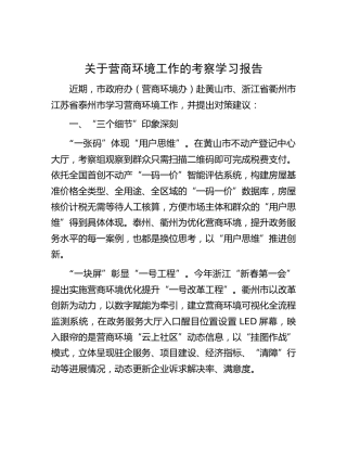 营商环境工作的考察学习报告