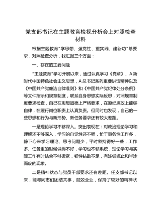 在主题教育检视分析会上对照检查（此类材料参考生活会剖析即可）