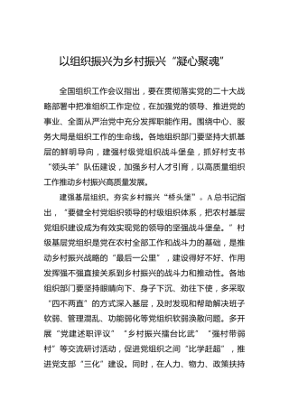 以组织振兴为乡村振兴“凝心聚魂”