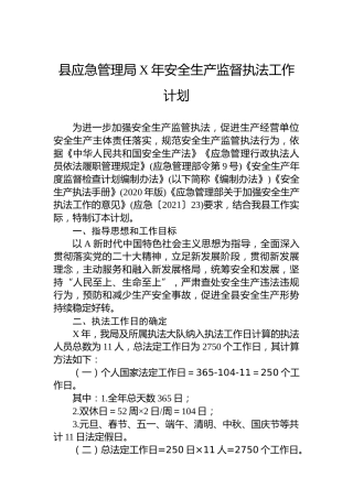 县应急管理局安全生产监督执法工作计划(1)