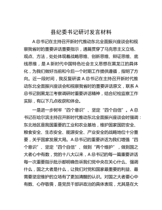 县纪委书记研讨发言（东北全面振兴）