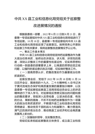 县工业和信息化局党组关于巡察整改进展情况的通报（20230424）
