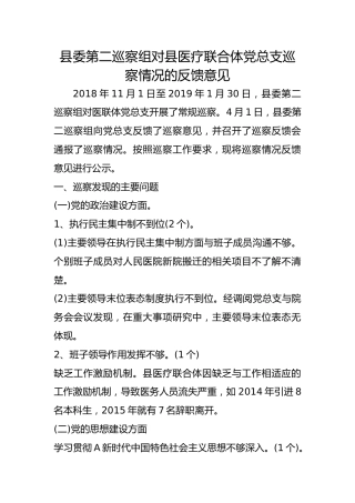 巡察组对县医疗联合体党总支巡察情况的反馈意见