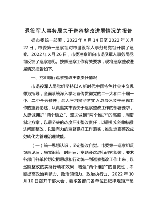 退役军人事务系统巡察整改进展情况总结报告