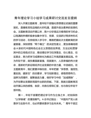 青年理论学习小组主题教育学习成果研讨交流发言提纲