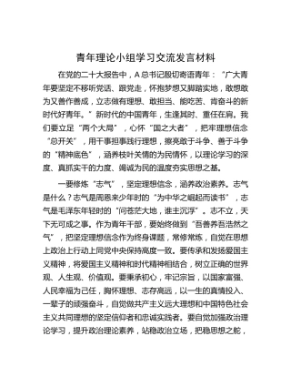 青年理论小组学习交流发言