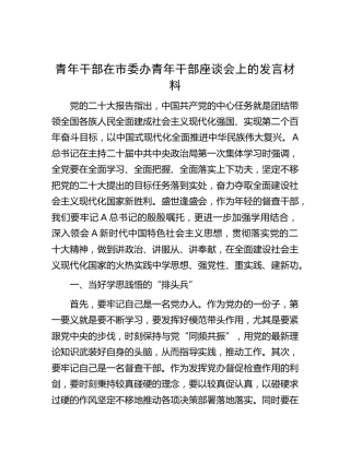 青年干部在市委办青年干部座谈会上的发言